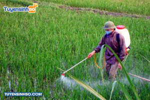 Ngành Bảo vệ thực vật