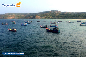 Ngành Khai thác thủy sản