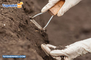 Ngành Khoa học đất