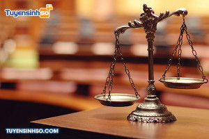 Ngành Luật kinh tế