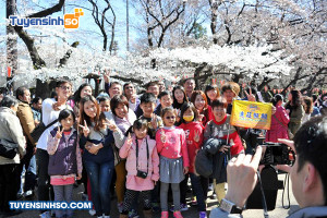 Ngành Nhật Bản học