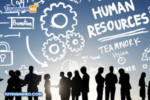Ngành Quản trị nhân lực