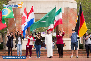 Ngành Quốc tế học